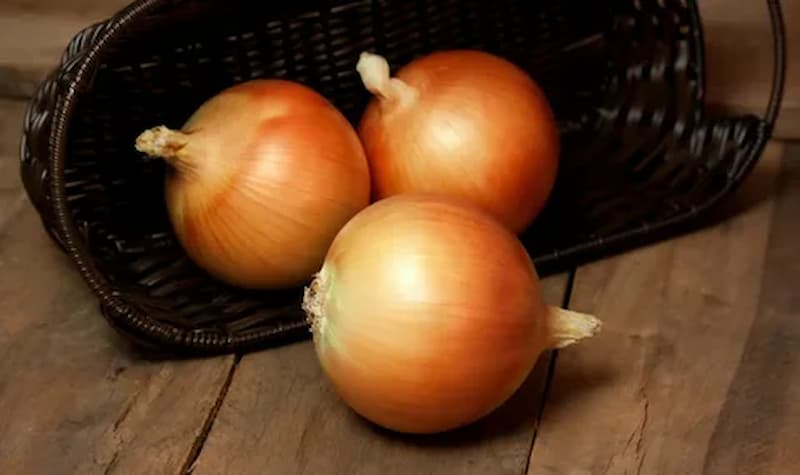 قیمت پیاز کوهی